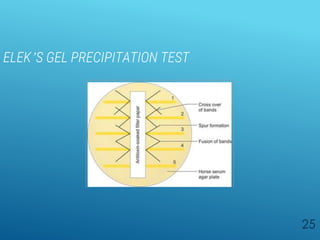 ELEK’S GEL PRECIPITATION TEST
25
 