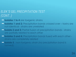 ELEK’S GEL PRECIPITATION TEST
(CONT..)
 Isolates 1 to 4 are toxigenic strains
 Isolates 1 and 2: Precipitation bands crossed over – toxins are
not-identical - strains are unrelated
 Isolate 2 and 3: Partial fusion of precipitation bands - strains
are partially related to each other
 Isolates 3 and 4: Precipitation bands fused with each other -
strains are completely related
 Isolate 5 : non-toxigenic strain (no precipitation band is
formed).
26
 