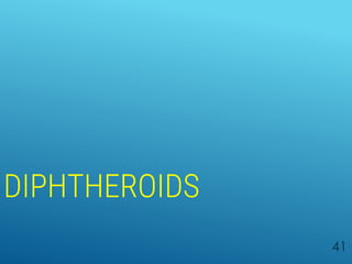DIPHTHEROIDS
41
 
