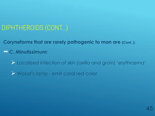 DIPHTHEROIDS (CONT..)
Coryneforms that are rarely pathogenic to man are (Cont..):
 C. Minutissimum:
 Localized infection of skin (axilla and groin) ‘erythrasma’
 Wood’s lamp - emit coral red color
45
 