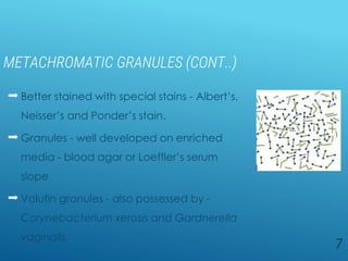 METACHROMATIC GRANULES (CONT..)
 Better stained with special stains - Albert’s,
Neisser’s and Ponder’s stain.
 Granules - well developed on enriched
media - blood agar or Loeffler’s serum
slope
 Volutin granules - also possessed by -
Corynebacterium xerosis and Gardnerella
vaginalis.
7
A B C
 
