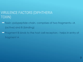 VIRULENCE FACTORS (DIPHTHERIA
TOXIN)
 Toxin -polypeptide chain, comprises of two fragments—A
(active) and B (binding)
 Fragment B binds to the host cell receptors - helps in entry of
fragment A
9
 