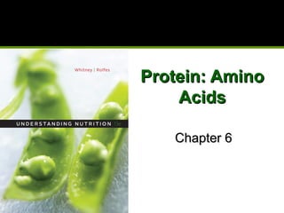 Protein: AminoProtein: Amino
AcidsAcids
Chapter 6Chapter 6
 