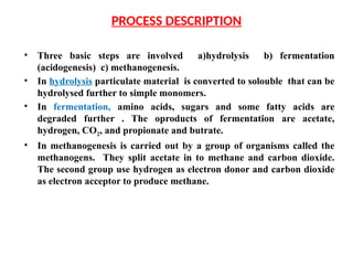 Chapter_6A_Biological_Process_Treatment.pptx