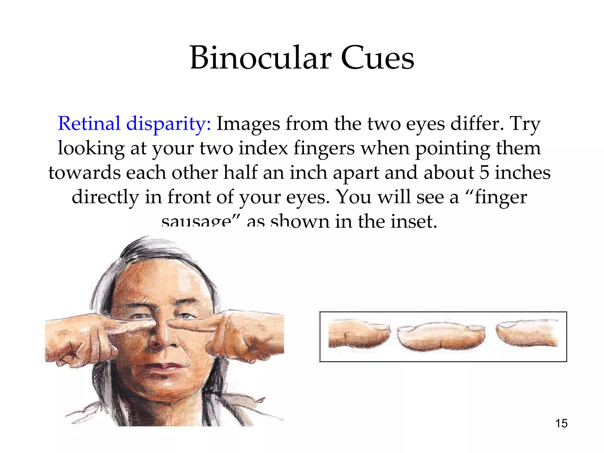 Binocular Cues Retinal disparity:   Images from the two eyes differ. Try looking at your two index fingers when pointing them towards each other half an inch apart and about 5 inches directly in front of your eyes. You will see a “finger sausage” as shown in the inset. 