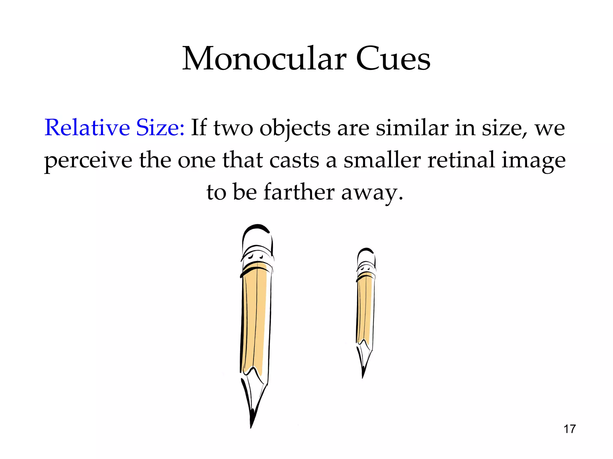 Monocular Cues Relative Size:   If two objects are similar in size, we perceive the one that casts a smaller retinal image to be farther away. 