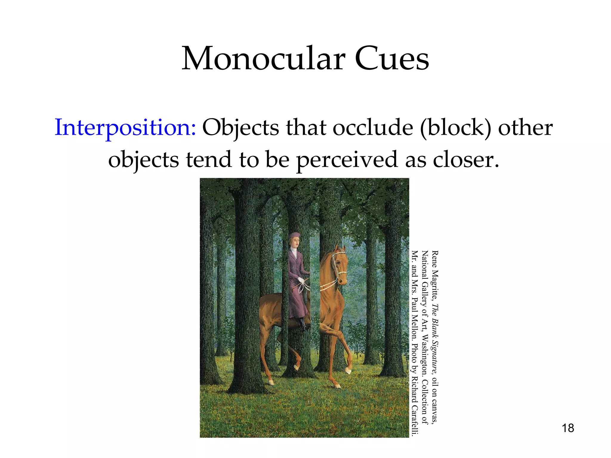 Monocular Cues Interposition:   Objects that occlude (block) other objects tend to be perceived as closer. Rene Magritte,  The Blank Signature,  oil on canvas,  National Gallery of Art, Washington. Collection of  Mr. and Mrs. Paul Mellon. Photo by Richard Carafelli. 