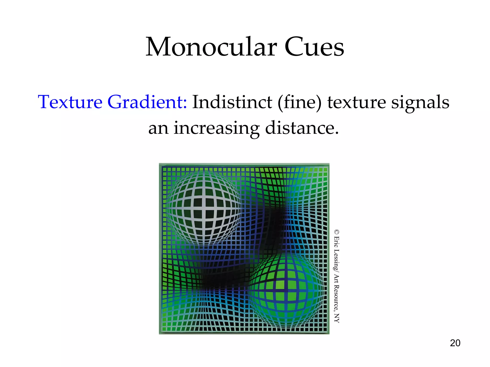 Monocular Cues Texture Gradient:   Indistinct (fine) texture signals an increasing distance. © Eric Lessing/ Art Resource, NY 