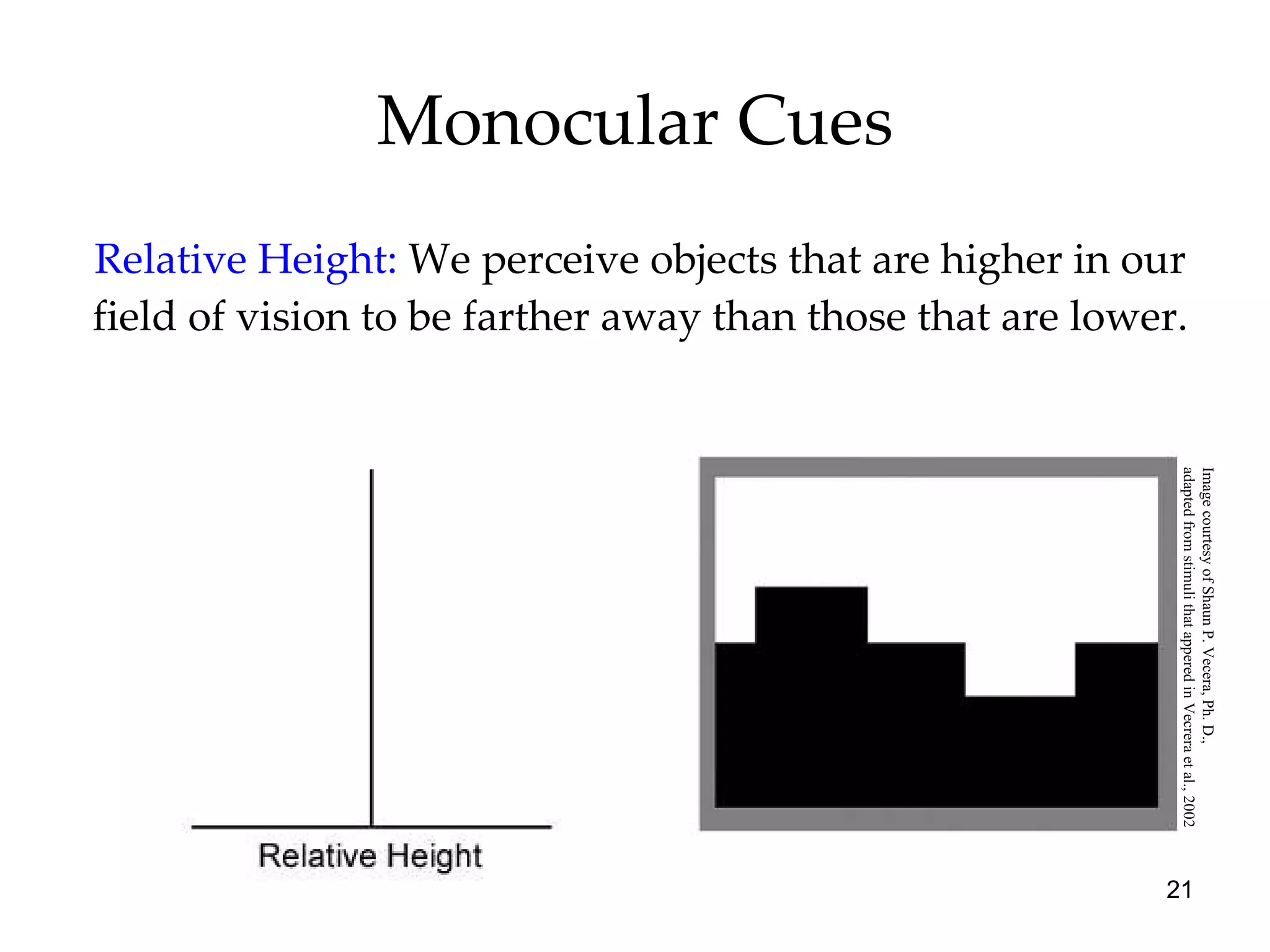 Monocular Cues Relative Height:   We perceive objects that are higher in our field of vision to be farther away than those that are lower. Image courtesy of Shaun P. Vecera, Ph. D.,  adapted from stimuli that appered in Vecrera et al., 2002 