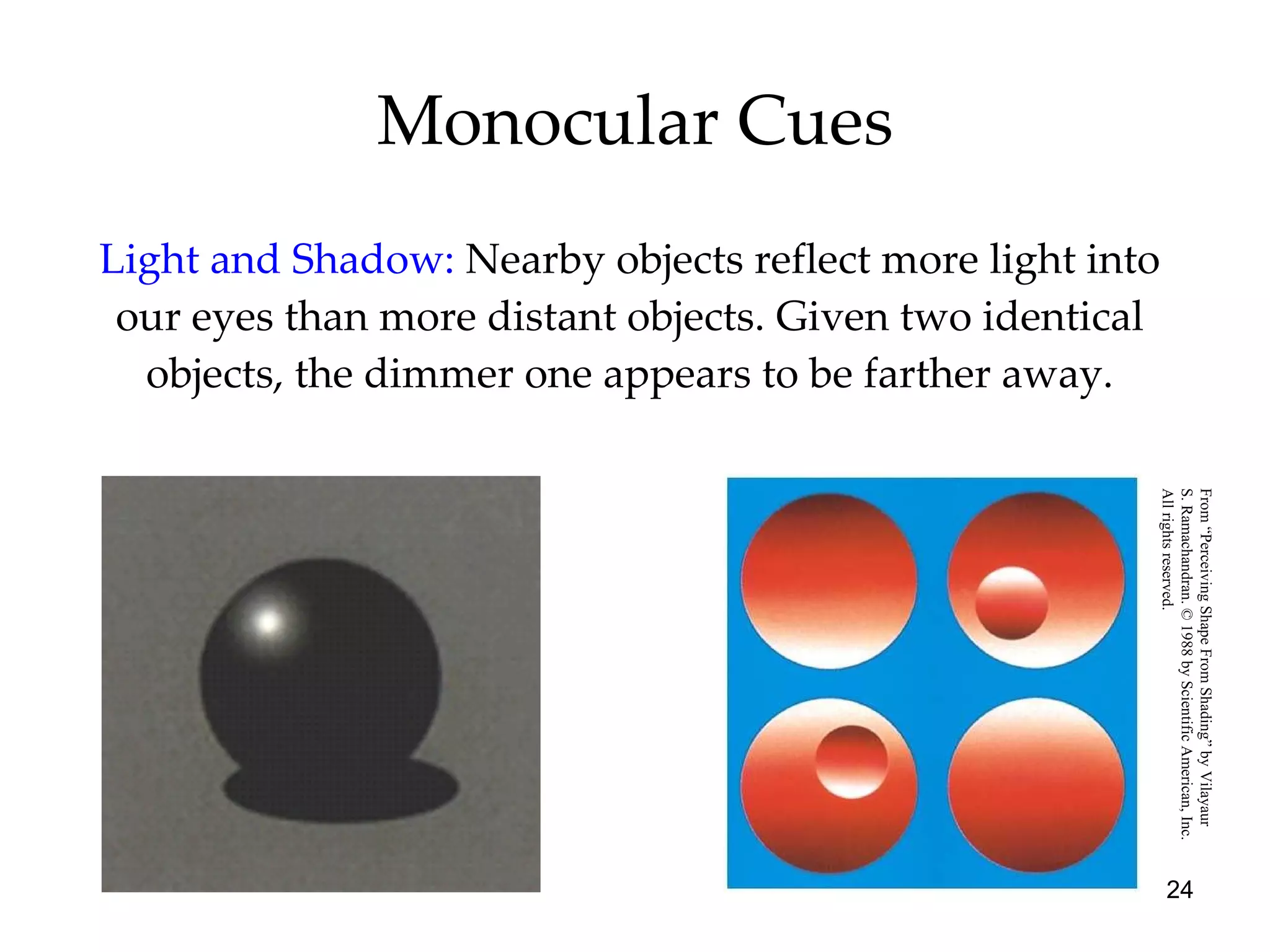 Monocular Cues Light and Shadow:   Nearby objects reflect more light into our eyes than more distant objects. Given two identical objects, the dimmer one appears to be farther away. From “Perceiving Shape From Shading” by Vilayaur  S. Ramachandran. © 1988 by Scientific American, Inc.  All rights reserved. 