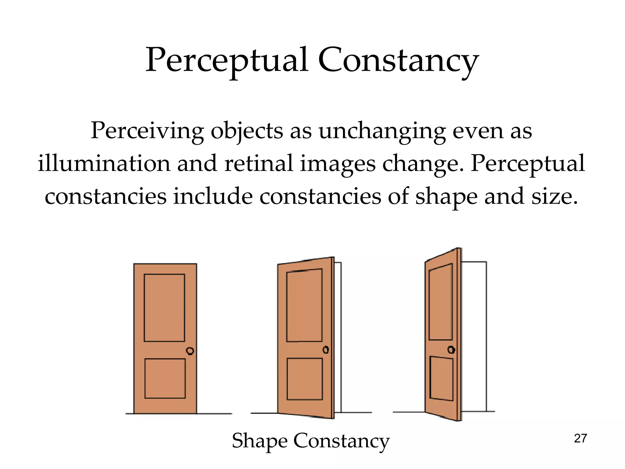 Perceptual Constancy Perceiving objects as unchanging even as illumination and retinal images change. Perceptual constancies include constancies of shape and size. Shape Constancy 