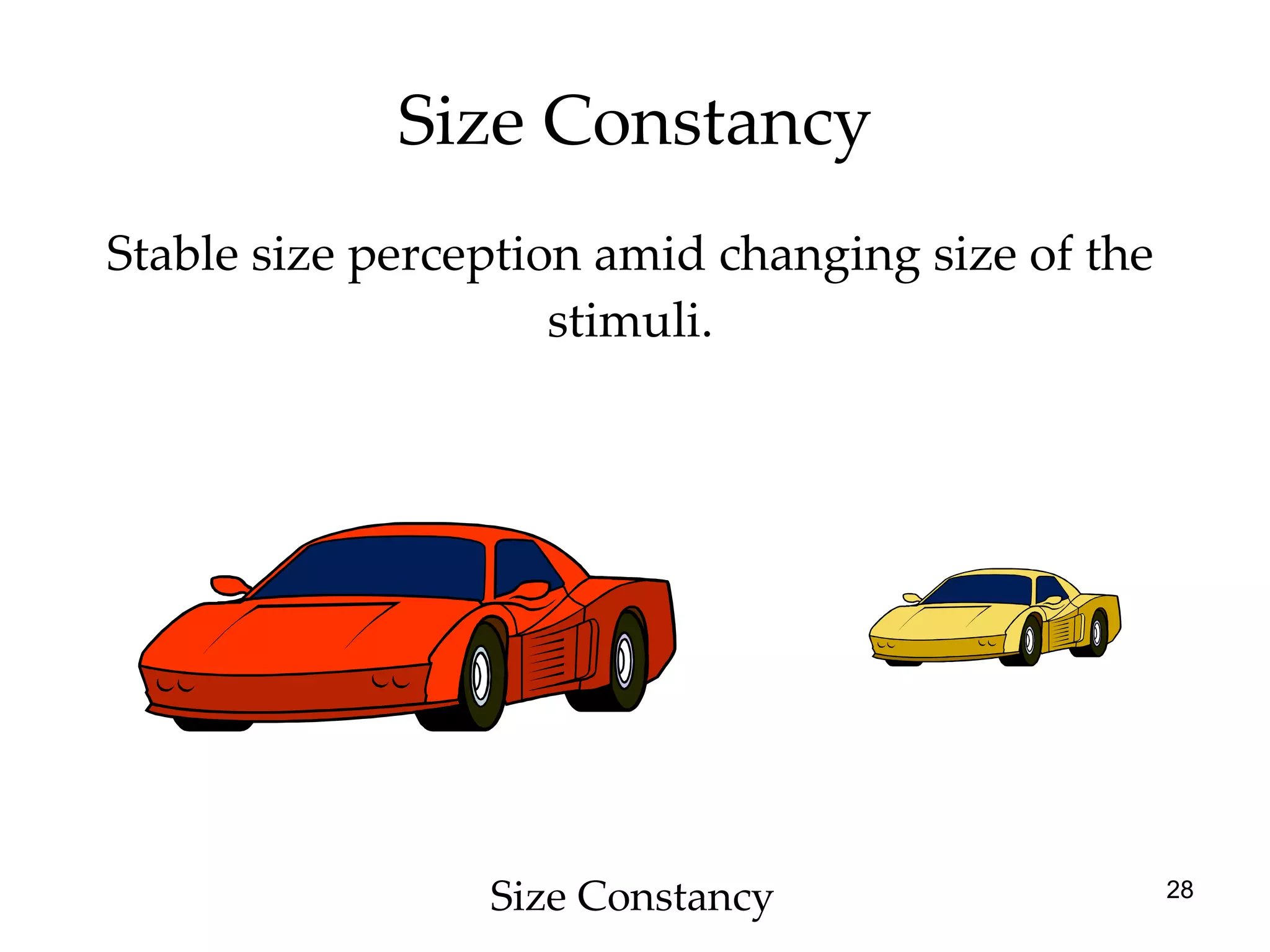 Size Constancy Stable size perception amid changing size of the stimuli. Size Constancy 