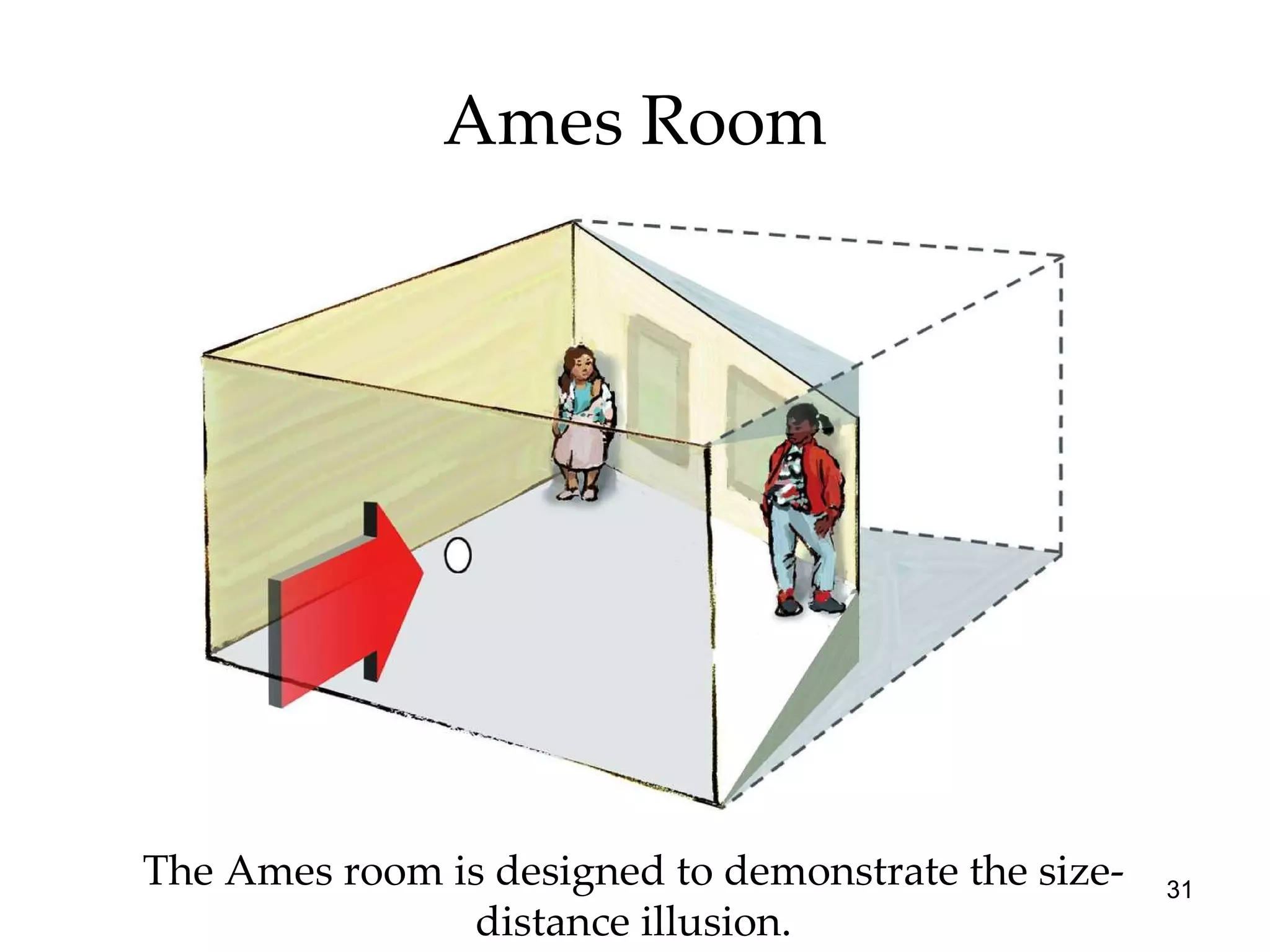 Ames Room The Ames room is designed to demonstrate the size-distance illusion. 