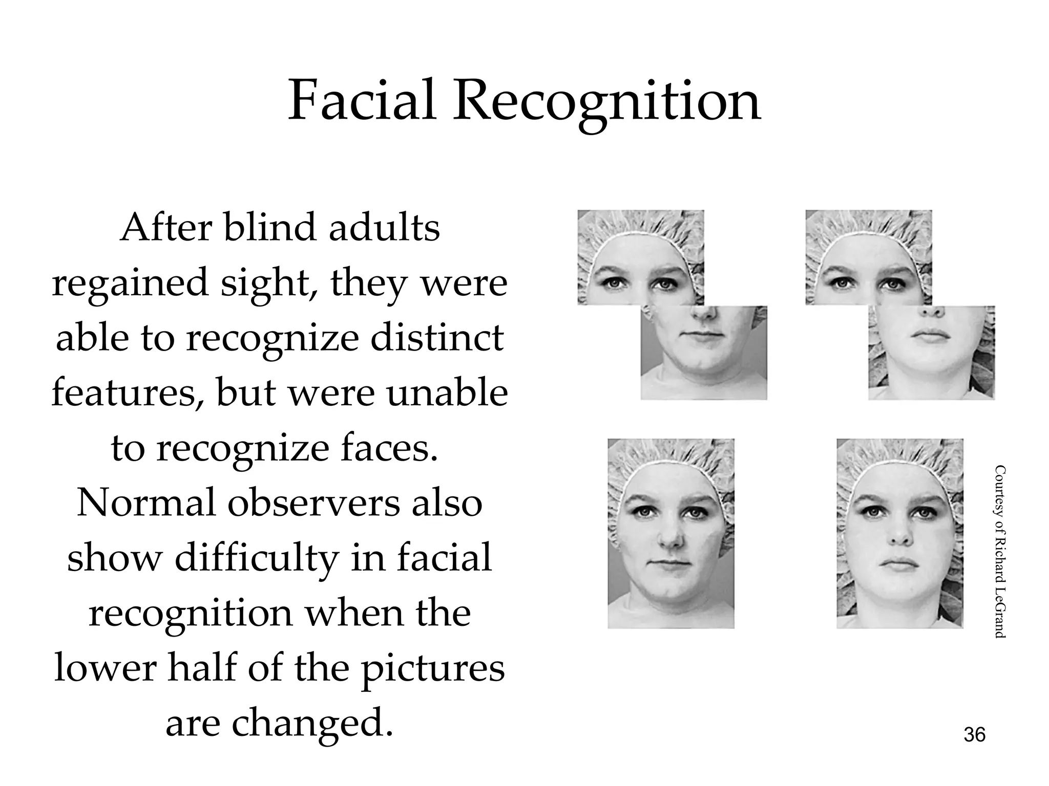 Facial Recognition After blind adults regained sight, they were able to recognize distinct features, but were unable to recognize faces.  Normal observers also show difficulty in facial recognition when the lower half of the pictures are changed. Courtesy of Richard LeGrand 