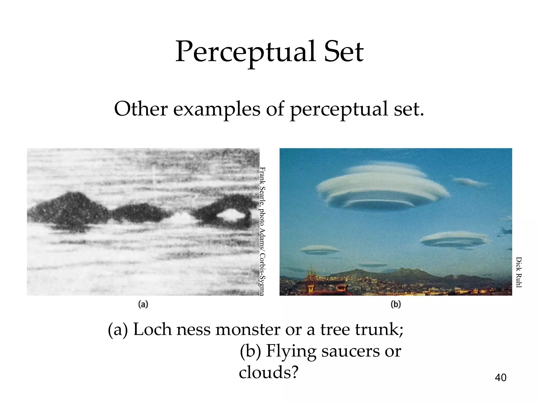 Perceptual Set (a) Loch ness monster or a tree trunk;  (b) Flying saucers or clouds? Other examples of perceptual set. Frank Searle, photo Adams/ Corbis-Sygma Dick Ruhl 