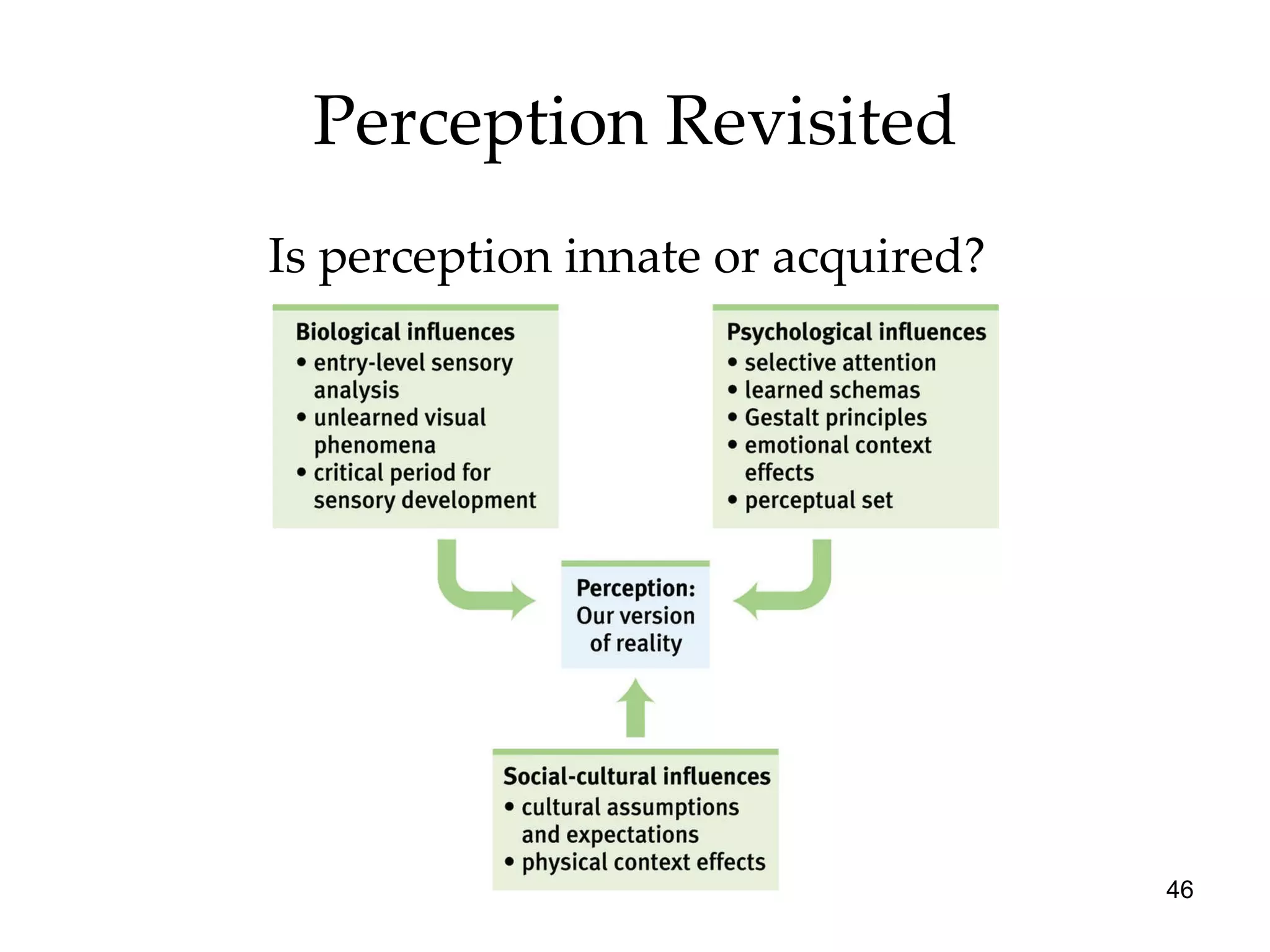 Perception Revisited Is perception innate or acquired?  