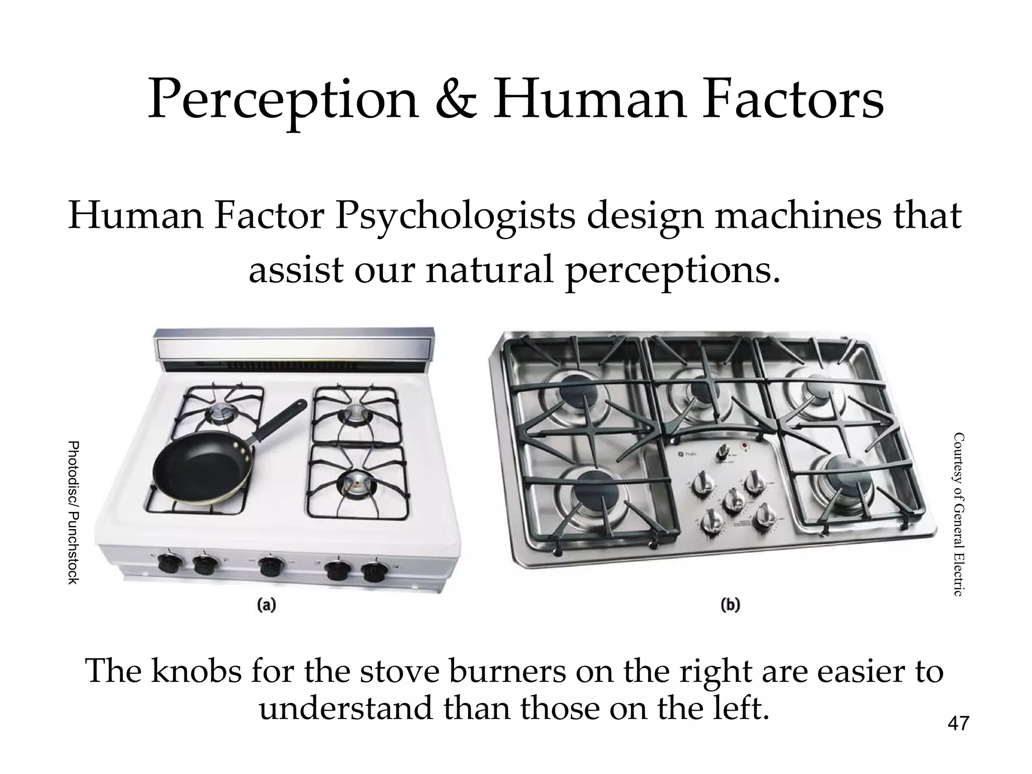 Perception & Human Factors Human Factor Psychologists design machines that assist our natural perceptions. The knobs for the stove burners on the right are easier to understand than those on the left. Photodisc/ Punchstock Courtesy of General Electric 