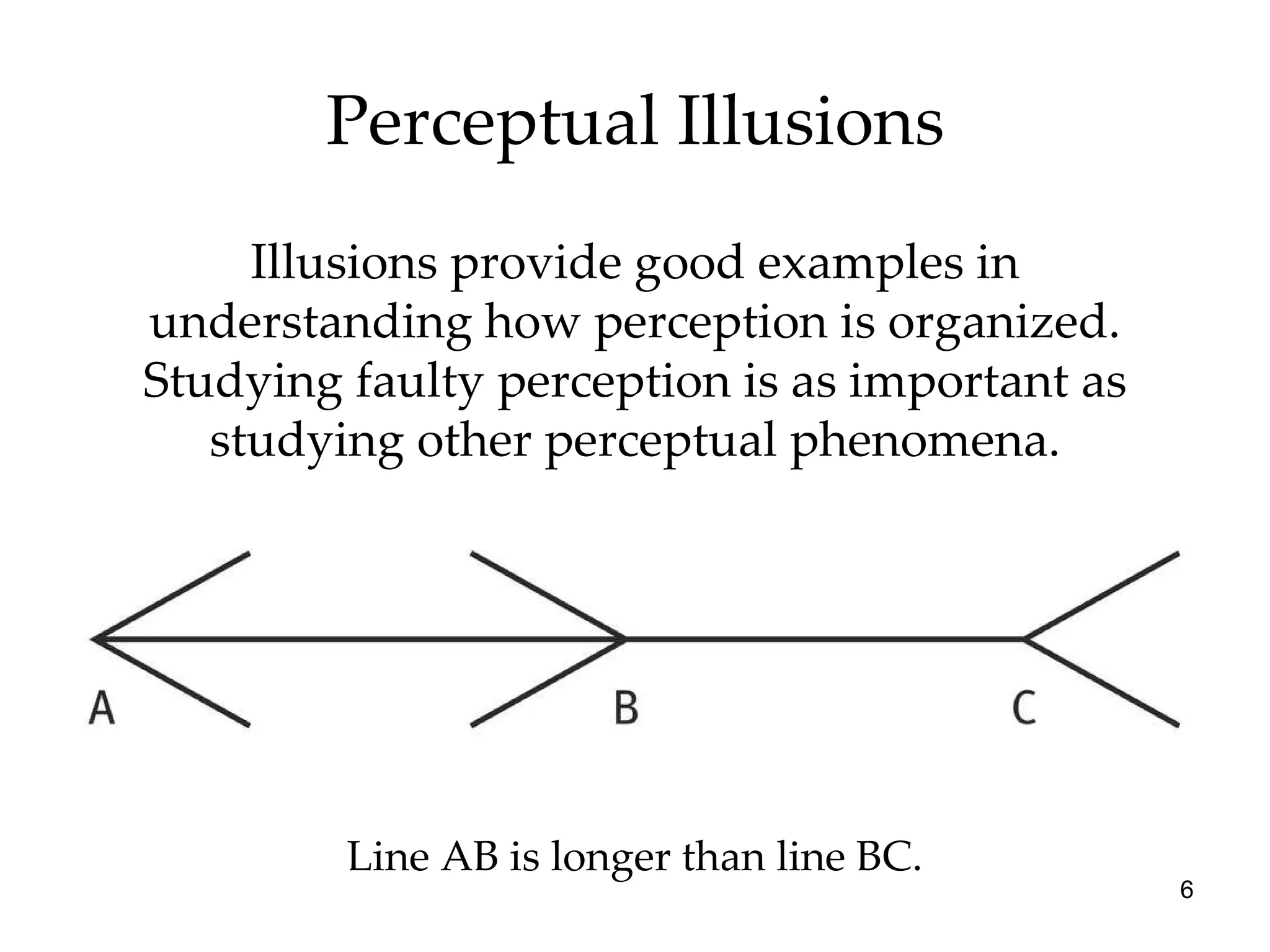 Perceptual Illusions Illusions provide good examples in understanding how perception is organized. Studying faulty perception is as important as studying other perceptual phenomena. Line AB is longer than line BC. 