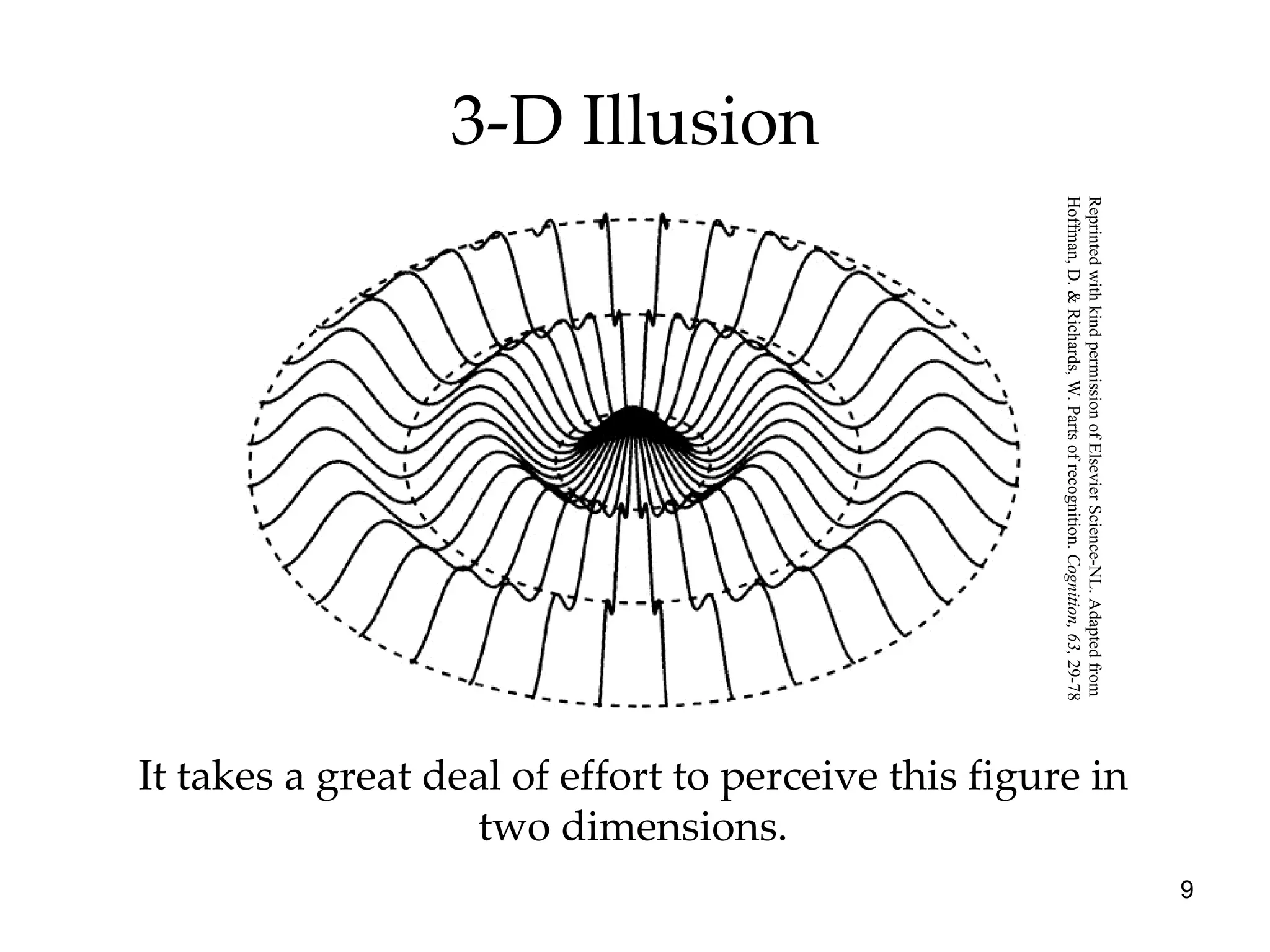 3-D Illusion It takes a great deal of effort to perceive this figure in two dimensions. Reprinted with kind permission of Elsevier Science-NL. Adapted from  Hoffman, D. & Richards, W. Parts of recognition.  Cognition, 63,  29-78 