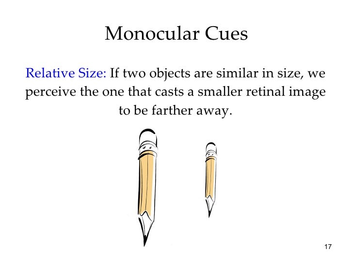 Chapter 6 ap psych Perception