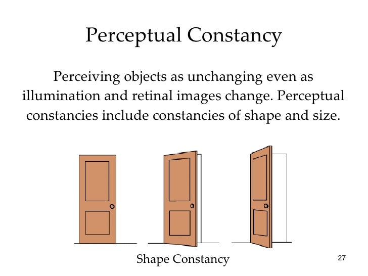 Chapter 6 ap psych Perception