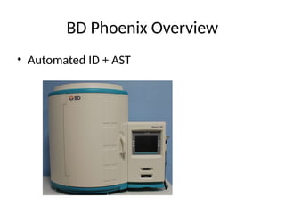 Comprehensive Overview of Automated Microbial Identification Systems in ...