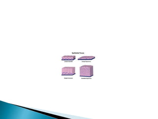 TestFile