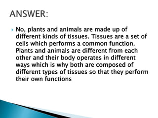 No, plants and animals are made up of
different kinds of tissues. Tissues are a set of
cells which performs a common function.
Plants and animals are different from each
other and their body operates in different
ways which is why both are composed of
different types of tissues so that they perform
their own functions
 