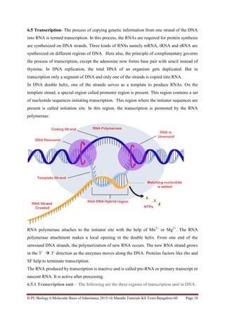 Chapter 6 biology 20 12-15 | PDF