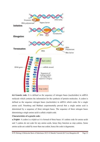 Chapter 6 biology 20 12-15 | PDF