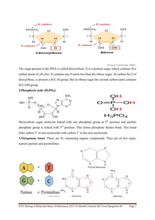 Chapter 6 Biology 12 15