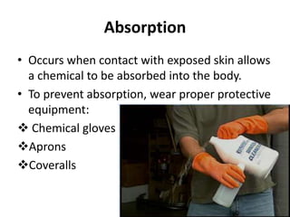 Absorption
• Occurs when contact with exposed skin allows
a chemical to be absorbed into the body.
• To prevent absorption, wear proper protective
equipment:
 Chemical gloves
Aprons
Coveralls
 