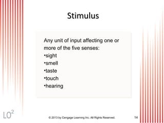 © 2013 by Cengage Learning Inc. All Rights Reserved. 14
StimulusStimulus
Any unit of input affecting one or
more of the five senses:
•sight
•smell
•taste
•touch
•hearing
2
 