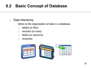 ● Data Hierarchy
– refers to the organization of data in a database.
● table/s or file/s
● record/s (in rows)
● field/s (in columns)
● character
6.2 Basic Concept of Database
 