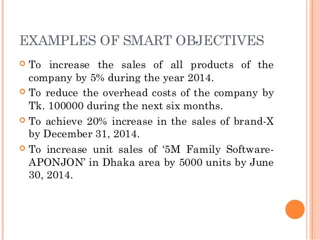 establishing objectives objectives examples