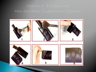 Chapter 6 fingerprints power point | PPT