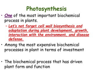 Photosynthesis
• One of the most important biochemical
process in plants.
– Let’s not forget cell wall biosynthesis and
adaptation during plant development, growth,
interaction with the environment, and disease
defense.
• Among the most expensive biochemical
processes in plant in terms of investment
• The biochemical process that has driven
plant form and function
 