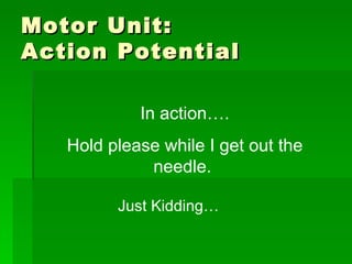 Motor Unit: Action Potential  In action…. Hold please while I get out the needle.  Just Kidding… 