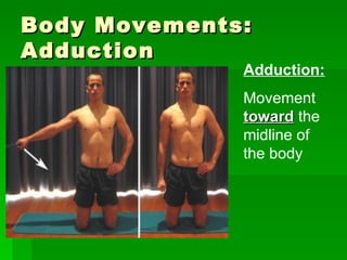 Body Movements: Adduction Adduction: Movement  toward  the midline of the body 