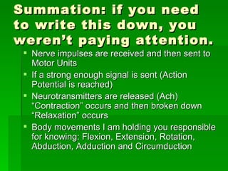 Summation: if you need to write this down, you weren’t paying attention. Nerve impulses are received and then sent to Motor Units  If a strong enough signal is sent (Action Potential is reached) Neurotransmitters are released (Ach) “Contraction” occurs and then broken down “Relaxation” occurs Body movements I am holding you responsible for knowing: Flexion, Extension, Rotation, Abduction, Adduction and Circumduction 