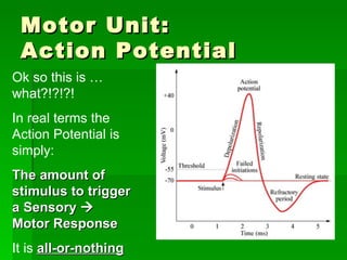 Motor Unit:  Action Potential Ok so this is …what?!?!?! In real terms the Action Potential is simply: The amount of stimulus to trigger a Sensory    Motor Response   It is  all-or-nothing 