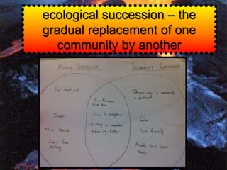 Chapter 6, Lesson 6 - How Ecosystems Change | PPTX