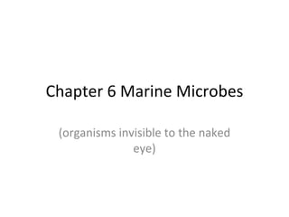Chapter 6 Marine Microbes (organisms invisible to the naked eye) 