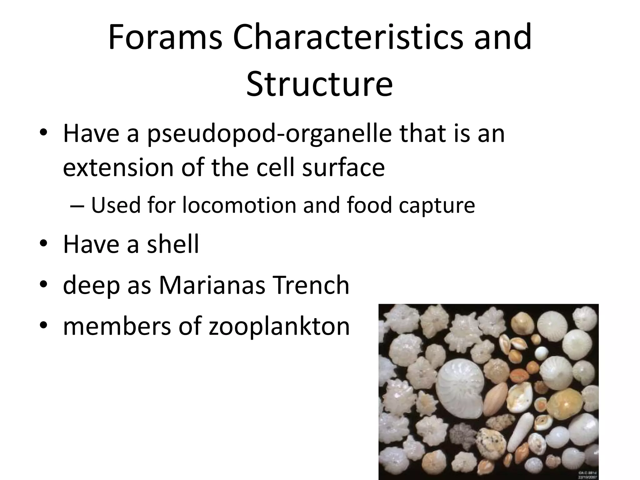 Forams Characteristics and
             Structure
• Have a pseudopod-organelle that is an
  extension of the cell surface
  – Used for locomotion and food capture
• Have a shell
• deep as Marianas Trench
• members of zooplankton
 