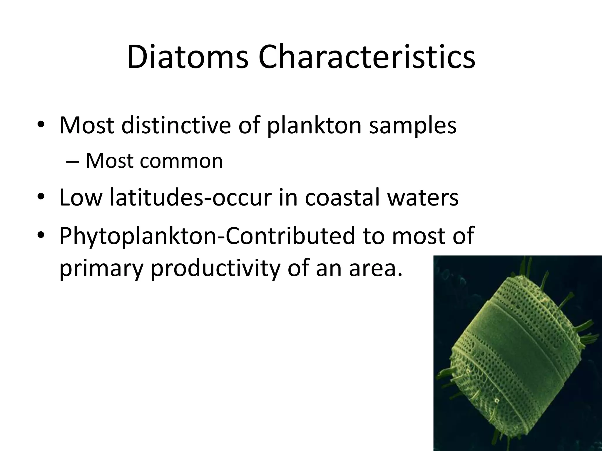Diatoms Characteristics
• Most distinctive of plankton samples
  – Most common
• Low latitudes-occur in coastal waters
• Phytoplankton-Contributed to most of
  primary productivity of an area.
 