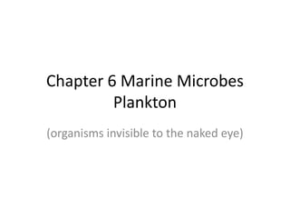 Chapter 6 Marine Microbes
         Plankton
(organisms invisible to the naked eye)
 