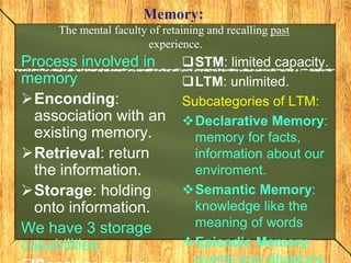 Memory: 
The mental faculty of retaining and recalling past 
experience. 
Process involved in 
memory: 
Enconding: 
association with an 
existing memory. 
Retrieval: return 
the information. 
Storage: holding 
onto information. 
We have 3 storage 
capabilities: 
Sensory memory: 
STM: limited capacity. 
LTM: unlimited. 
Subcategories of LTM: 
Declarative Memory: 
memory for facts, 
information about our 
enviroment. 
Semantic Memory: 
knowledge like the 
meaning of words 
Episodic Memory: 
events and situations. 
 