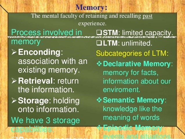 Intelligence And Memory: Memory And Intelligence Psychology – EXJCD