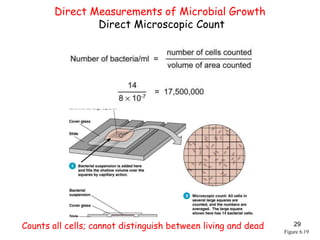 Direct Microbial Count Chapter 6 microbial growth partial | PPT