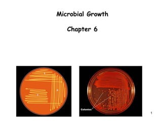 1
Microbial Growth
Chapter 6
 